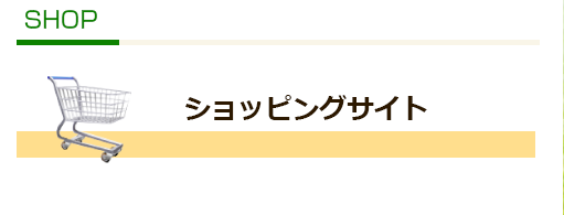 ショッピングサイト